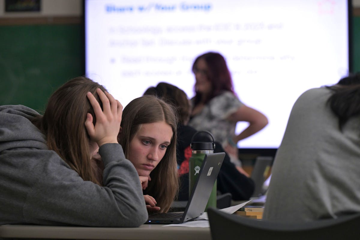 Nouvelle maturité gymnasiale : ateliers sur la durabilité et l’intelligence artificielle