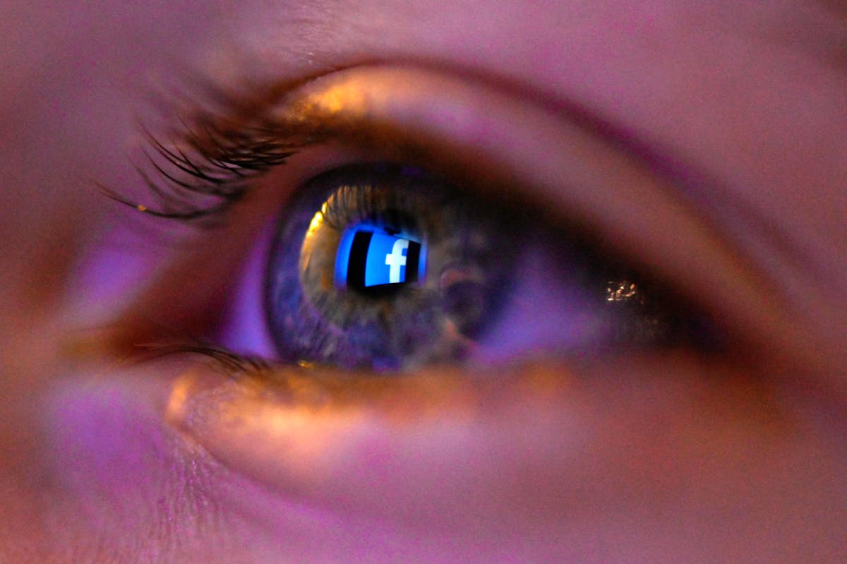 Un comité propose de restreindre l’accès aux réseaux sociaux pour les moins de 16 ans