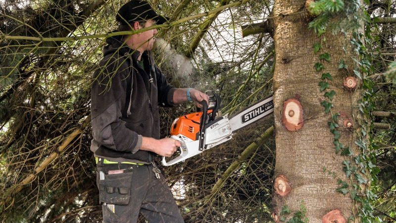 Burglauenen près de Grindelwald : accident mortel impliquant un bûcheron lors de travaux forestiers