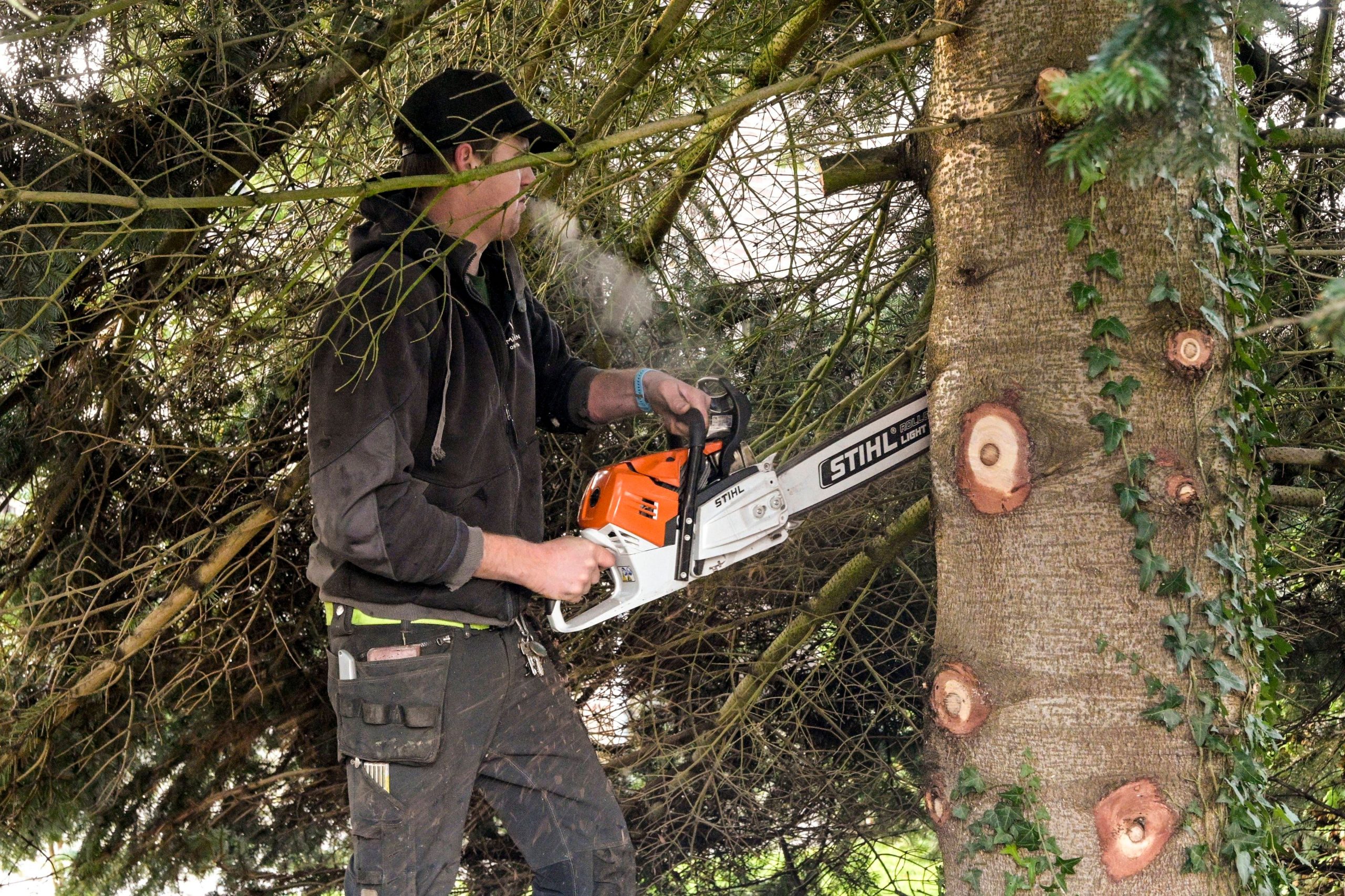 Burglauenen près de Grindelwald : accident mortel impliquant un bûcheron lors de travaux forestiers