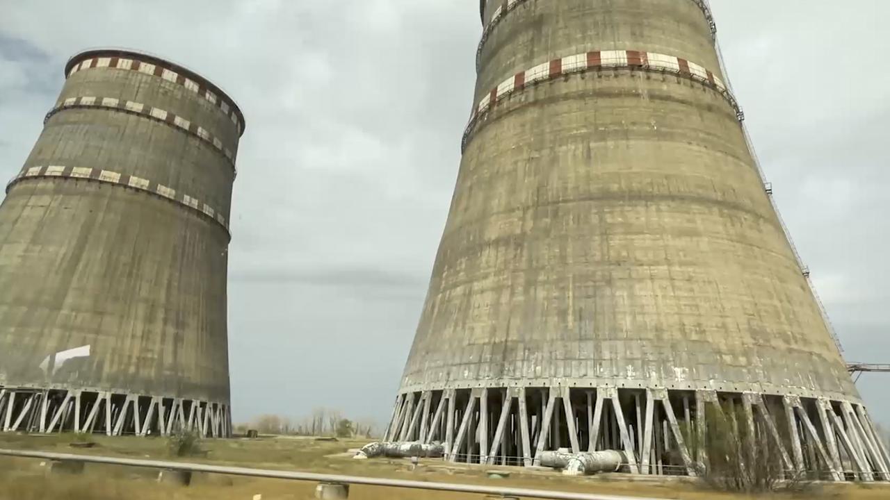 Bosnie: Opération policière contre un site de combats de chiens illégaux près de Derventa