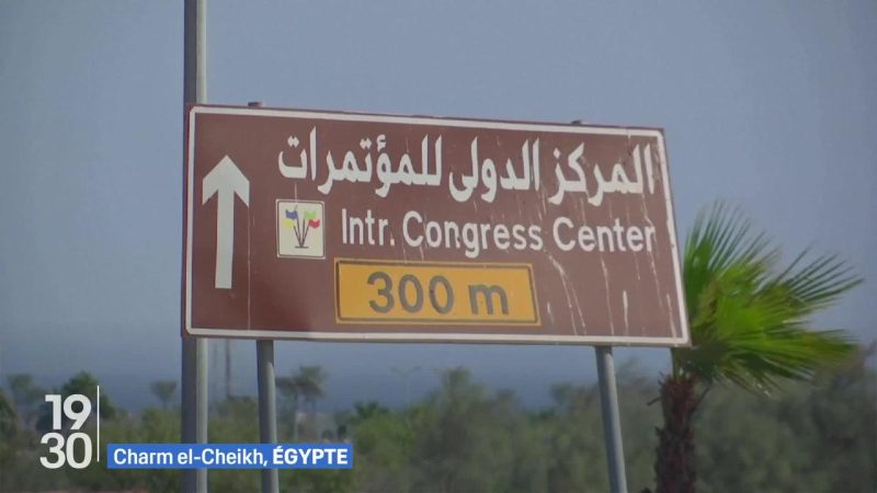Négociations en Égypte pour un cessez-le-feu à Gaza et l’échange d’otages au cœur du plan Trump