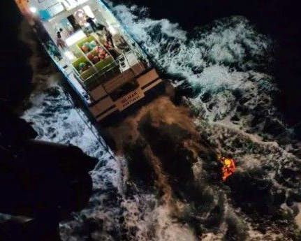 Orques attaquent un voilier au large du Portugal : une famille sauvée par l’armée portugaise