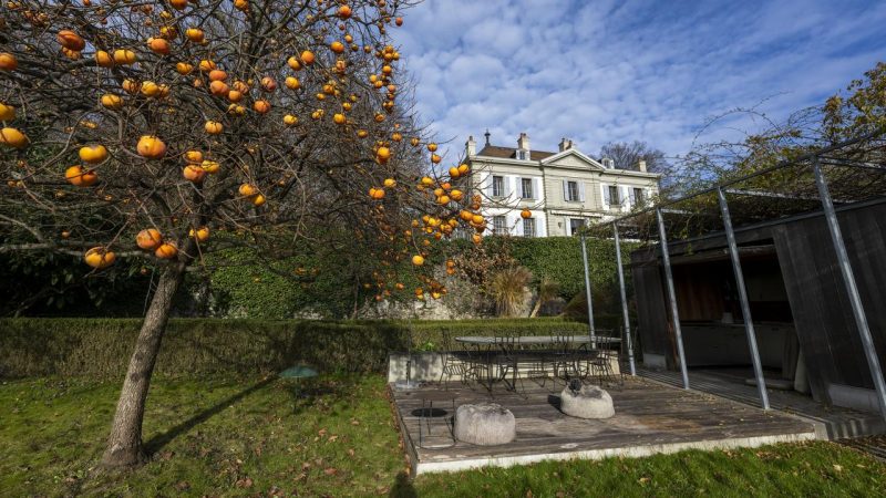 Genève – Parc Masset : la propriété Zep envisagée comme parc public lors de la votation municipale